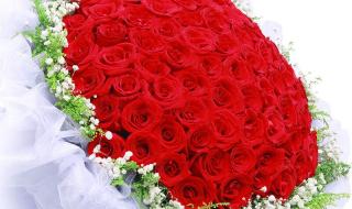 武汉520公交车路线